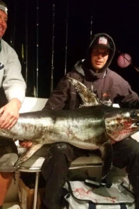 2 men with swordfish