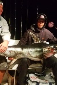 2 men with swordfish